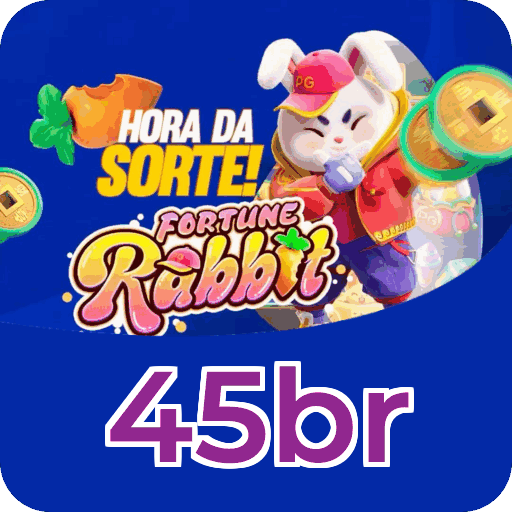 Login rápido no app 45br